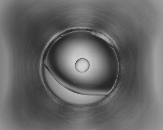 X0000113081085200908281218