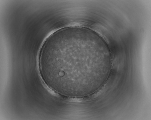 X0000113081086200908281218