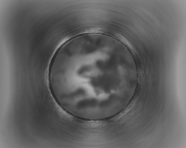 X0000113081087200908281218