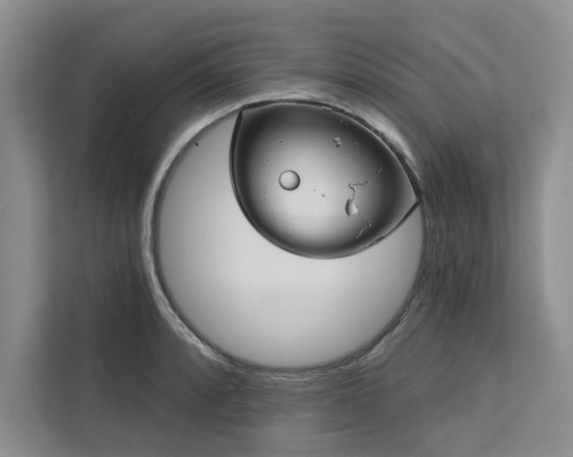 X0000113081088200908281218