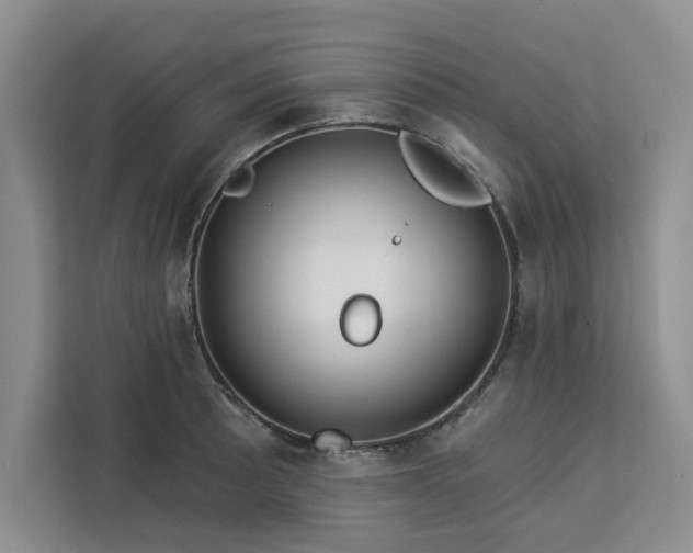 X0000113081089200908281218