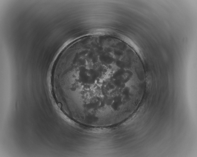 X0000113081091200908281218