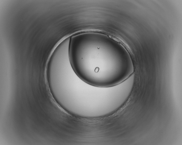 X0000113081092200908281218