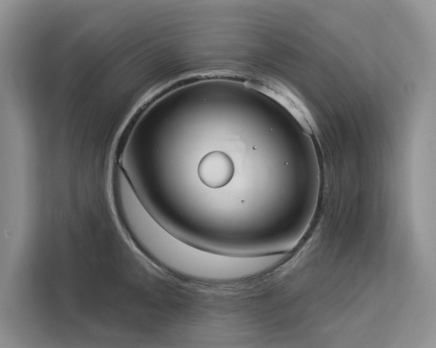 X0000113081093200908281218