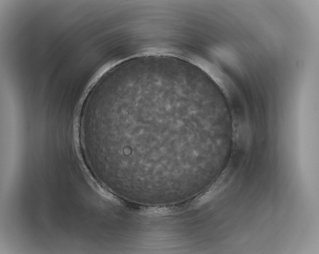 X0000113081094200908281218