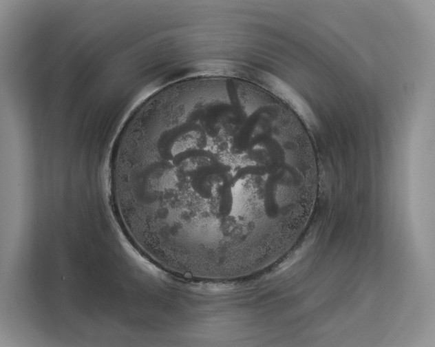 X0000113081095200908281218