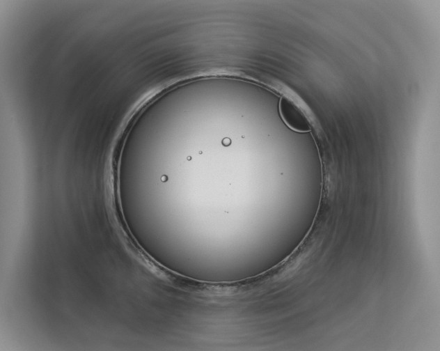 X0000113081096200908281218