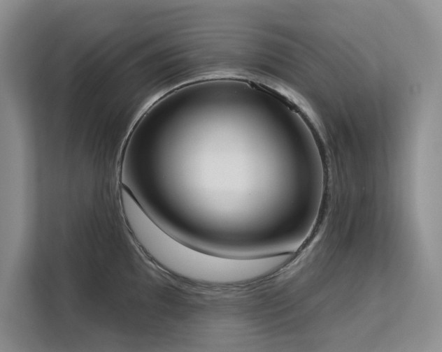 X0000113081097200908281218