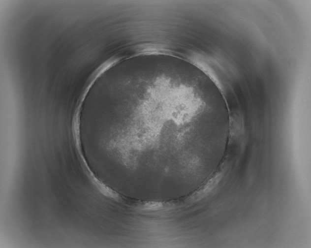 X0000113081098200908281218