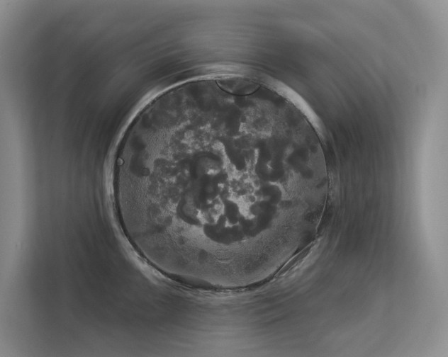 X0000113081099200908281218