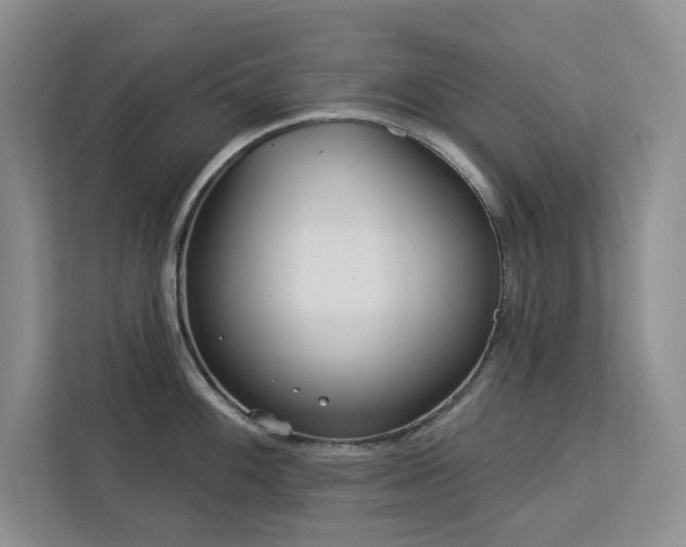 X0000113081100200908281218