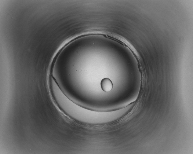 X0000113081101200908281218