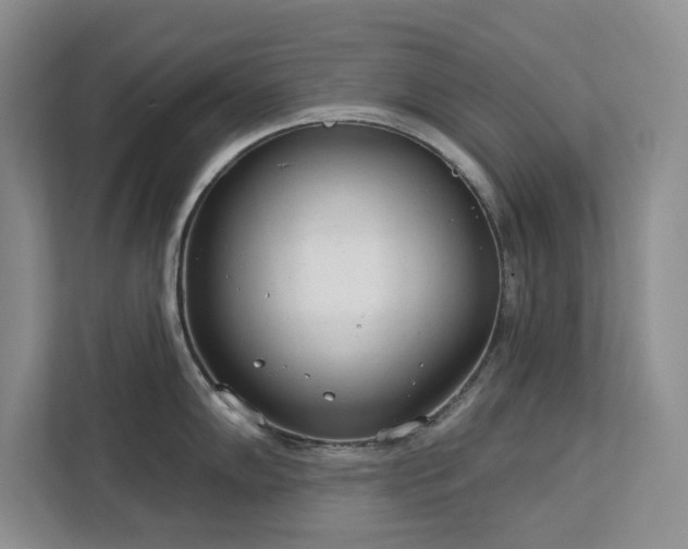 X0000113081102200908281218