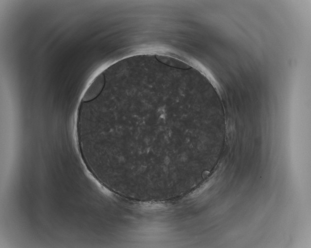 X0000113081103200908281218