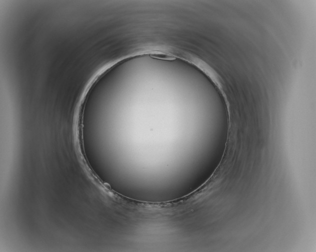 X0000113081104200908281218