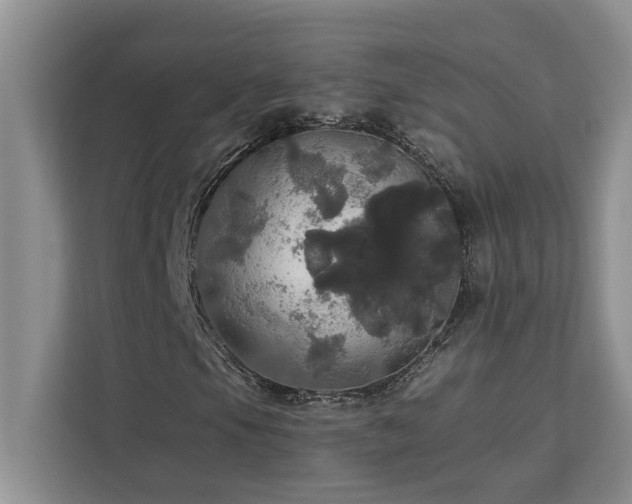 X0000113081105200908281217