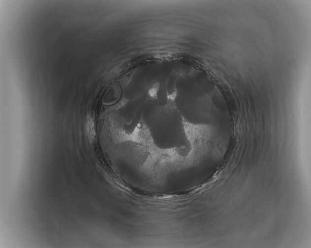 X0000113081106200908281217