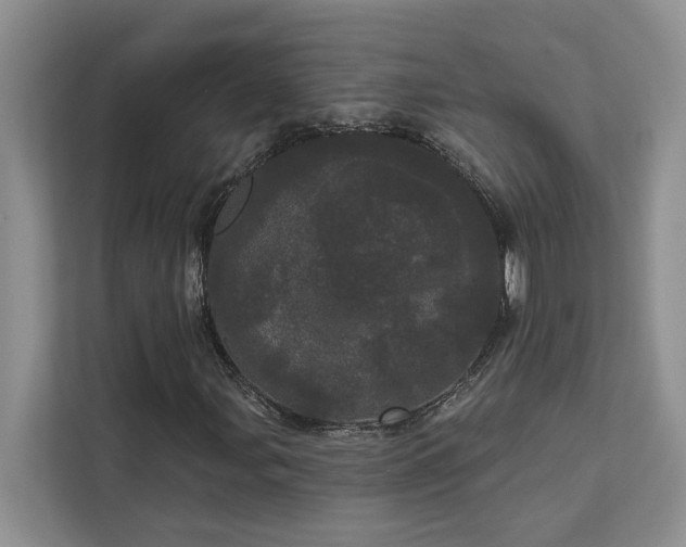 X0000113081107200908281217