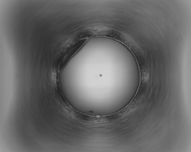 X0000113081108200908281217