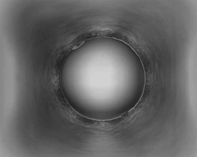 X0000113081109200908281217