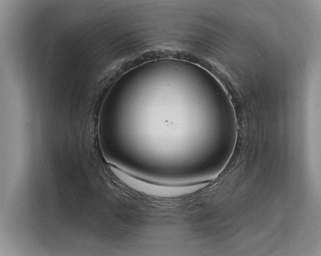 X0000113081110200908281217