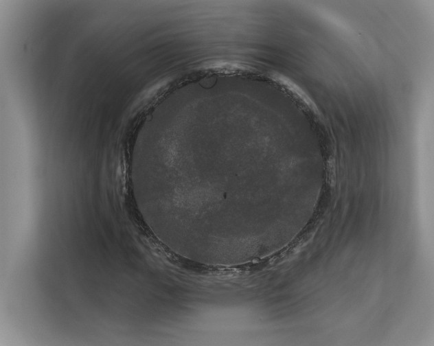 X0000113081111200908281217