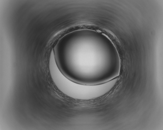 X0000113081112200908281217