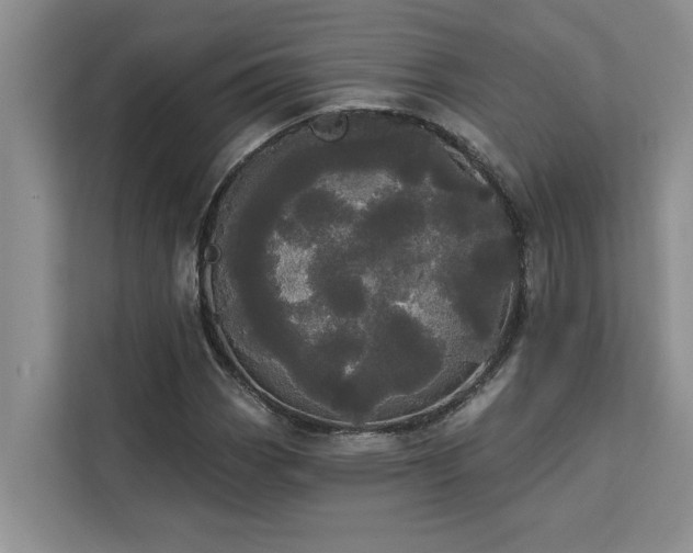 X0000113081113200908281217