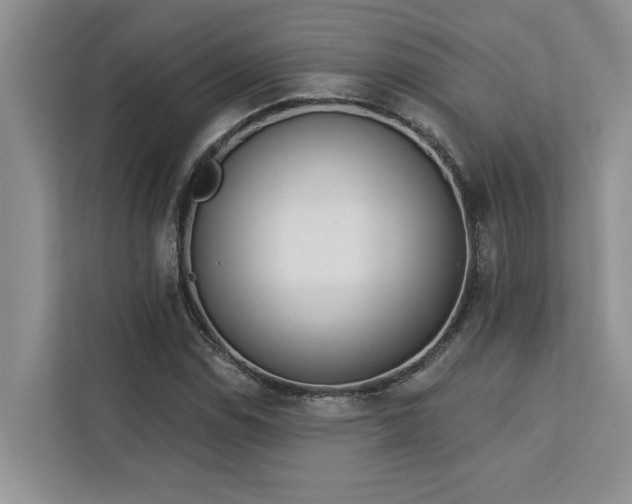 X0000113081114200908281217