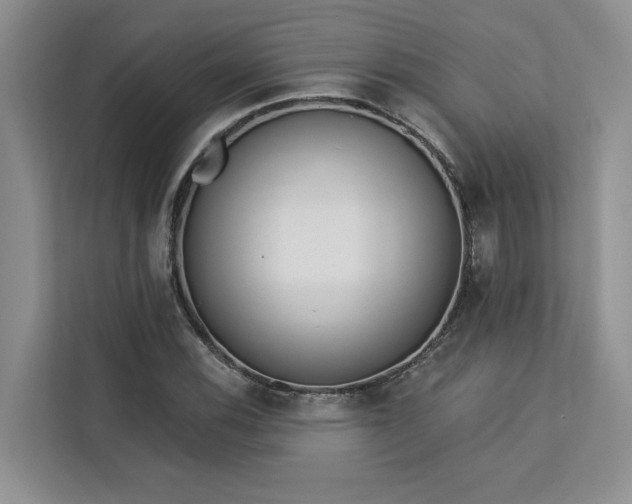 X0000113081116200908281217