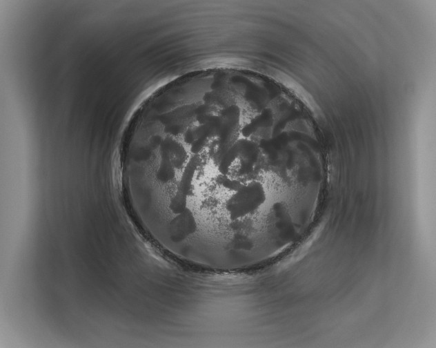 X0000113081117200908281217