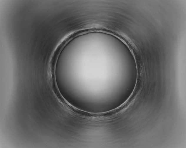 X0000113081118200908281217