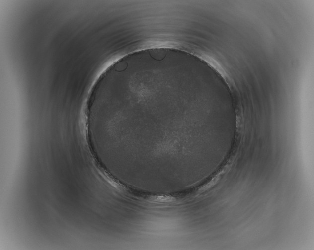 X0000113081119200908281218