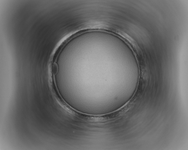 X0000113081120200908281218