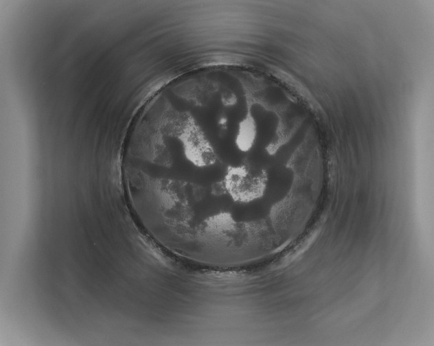 X0000113081121200908281218