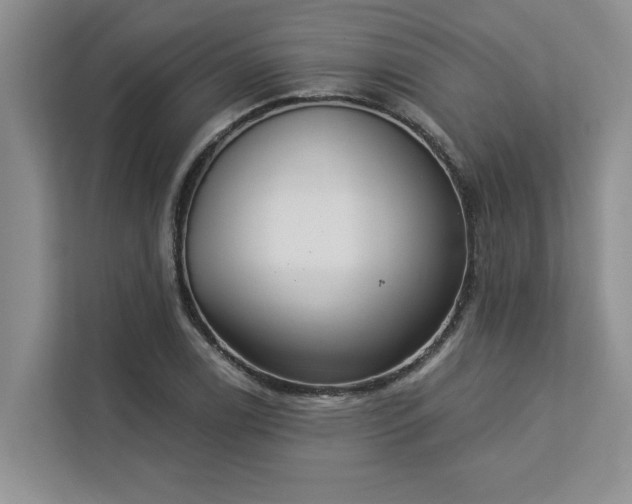 X0000113081122200908281218