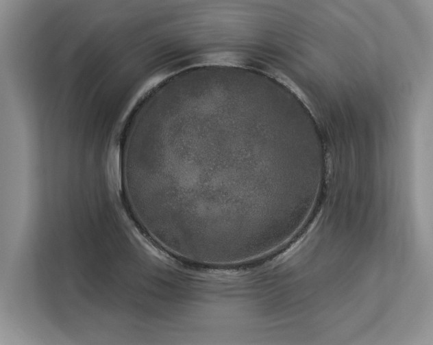 X0000113081123200908281218