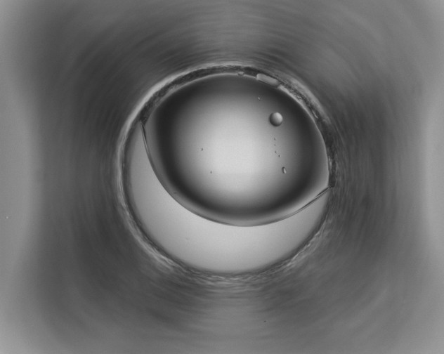 X0000113081124200908281218