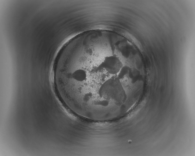 X0000113081125200908281218