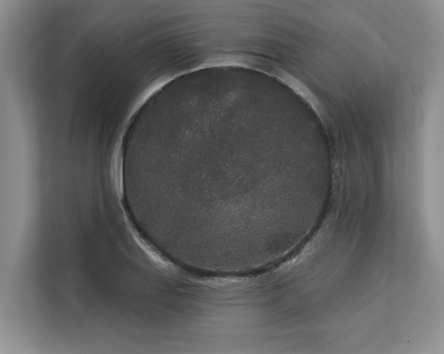 X0000113081127200908281218