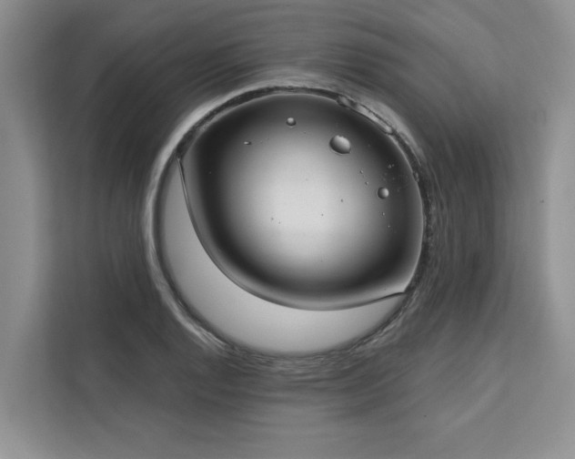 X0000113081128200908281218