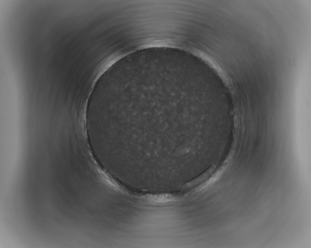 X0000113081129200908281218