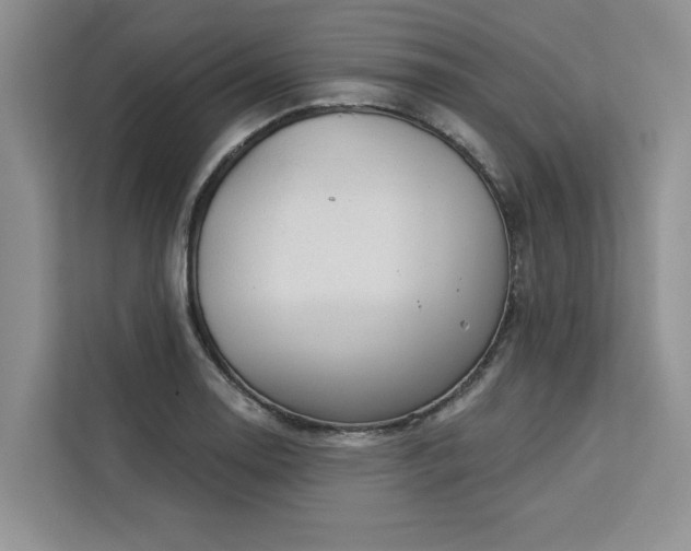 X0000113081130200908281218