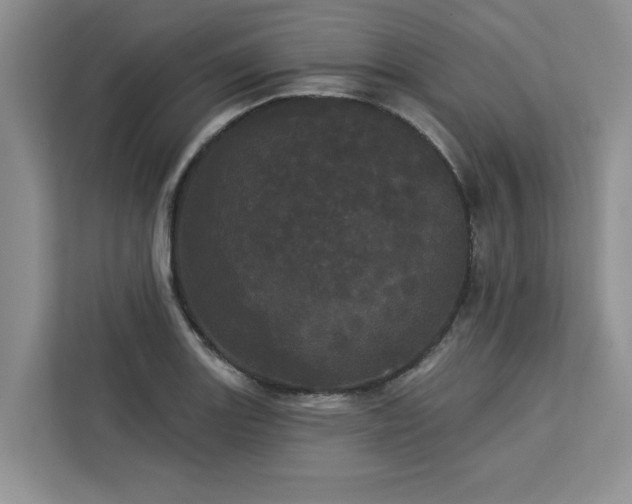 X0000113081131200908281218