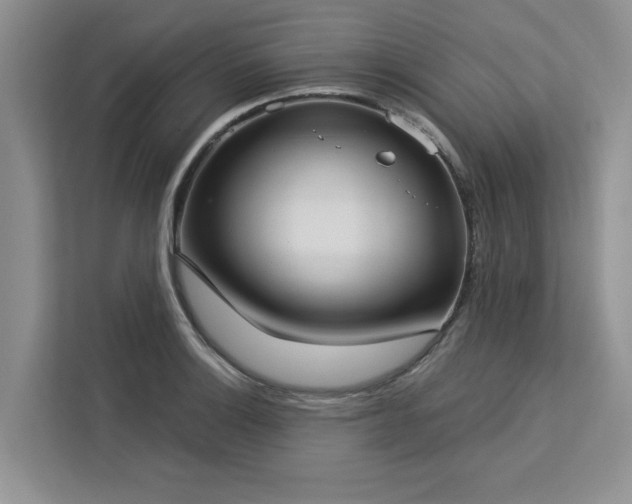 X0000113081132200908281218