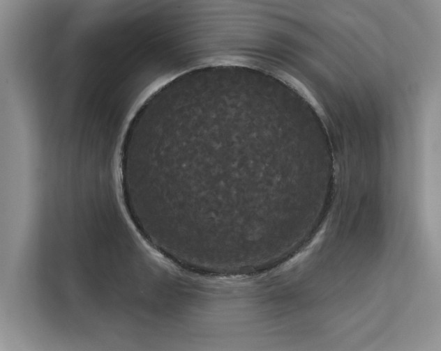 X0000113081133200908281218