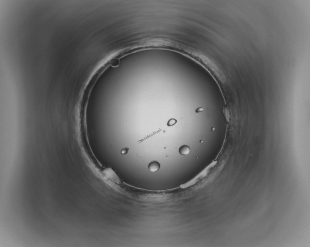 X0000113081134200908281218