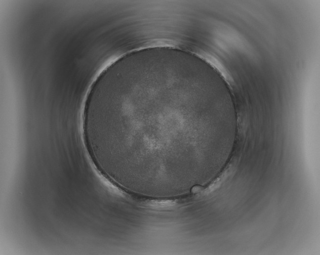 X0000113081135200908281218