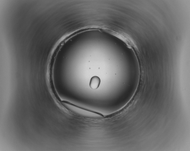 X0000113081136200908281218