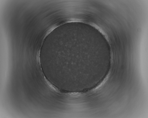 X0000113081137200908281218